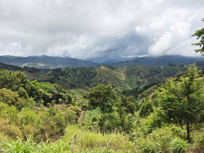 Lush green hills, valleys, and dense foliage, 2026