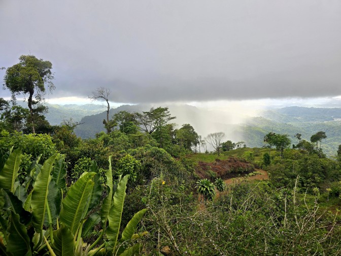 A heavy rain shower in a scenic mountain landscape, 2026