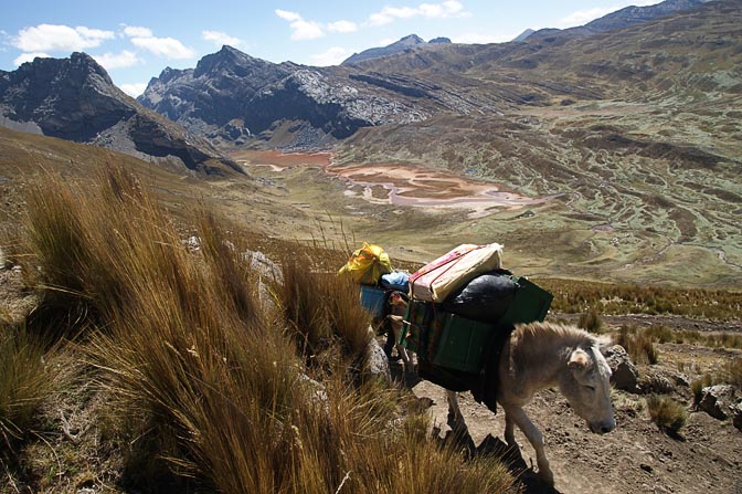 Donkeys carry trekkers' gear along the colorful valley of Caliente River, which drains Lake Pucacocha, 2008