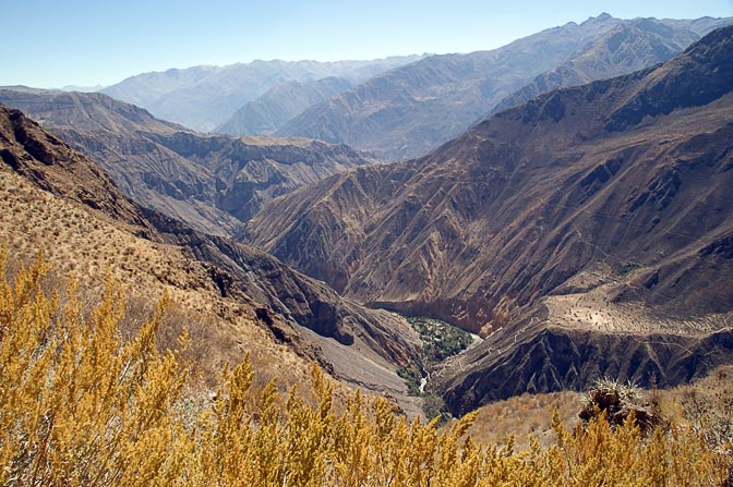 The Colca canyon with a view of the oasis in the far bottom, 2008