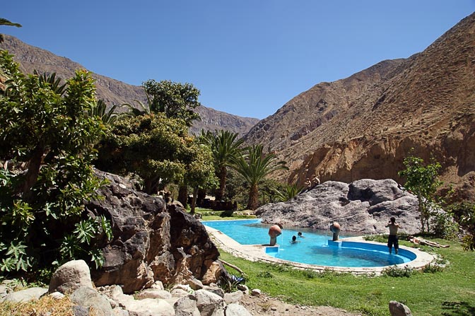 The Colca canyon oasis, 2008