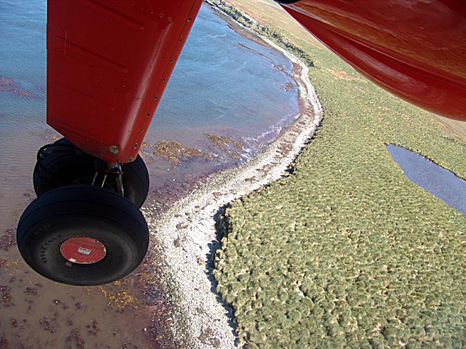 Sea Lion Island viewed from the 'Islander', 2004