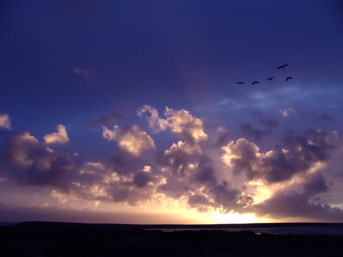 Sunset in Bleaker Island, 2004