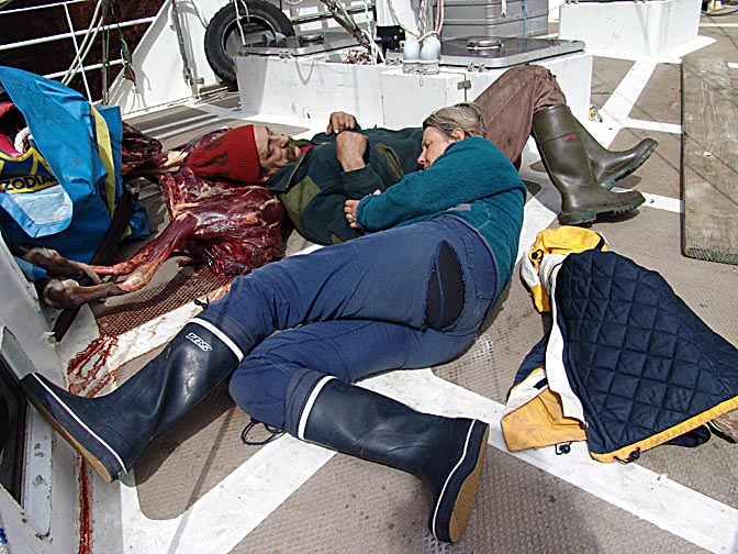 Kati and Jerome resting on a Reindeer, in Ocean Harbour, 2004