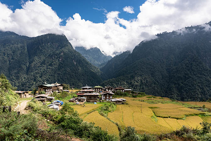 The northernmost rice fields in the village of Demji on the way to Gasa, 2018