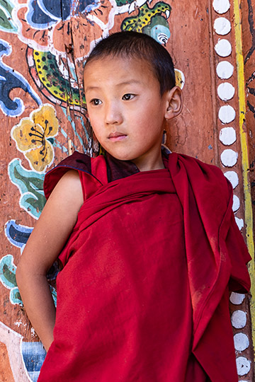 A young monk, 2018