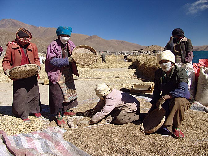 Barley winnowing by Yamdrok Tsho, 2004