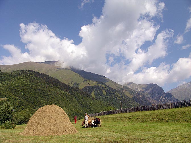 Peasants piling hay in Mazeri, Upper Svaneti 2007