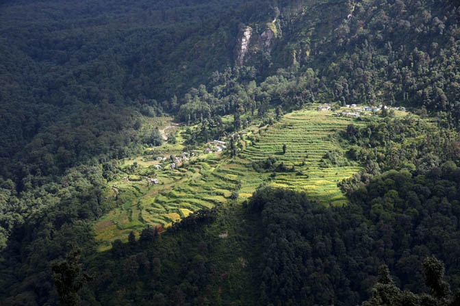 Sunshine illuminates the cultivated fields on the terraces of Jhangi, Kuari Pass trek 2011