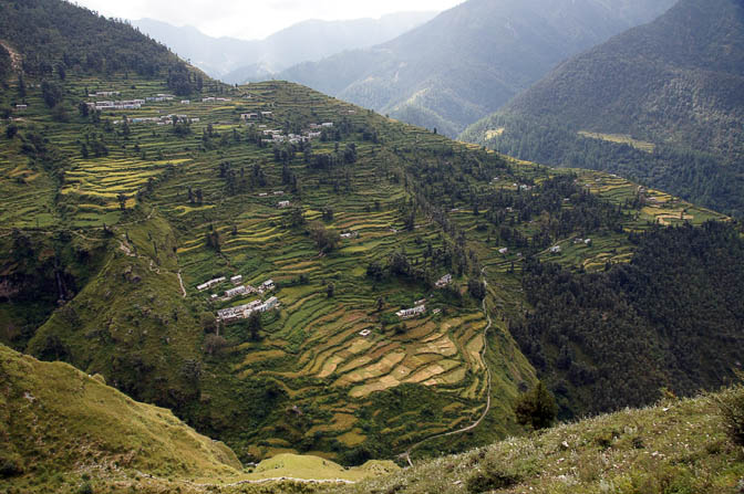 Terraces and cultivated fields in Ala, Roopkund trek 2011