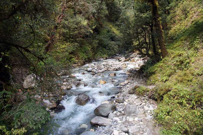 The stream which separates Wan from Bedni Bugyal, Roopkund trek 2011