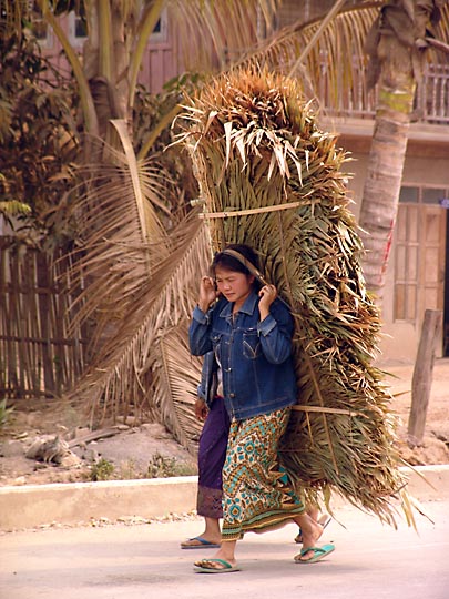 A local woman carrying rattan, along the road from Luang Namtha to Huayxai 2007