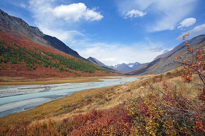 Autumn colors adorn the slopes of the Altai ridge upstream the White River (Tsagaan Gol), 2014