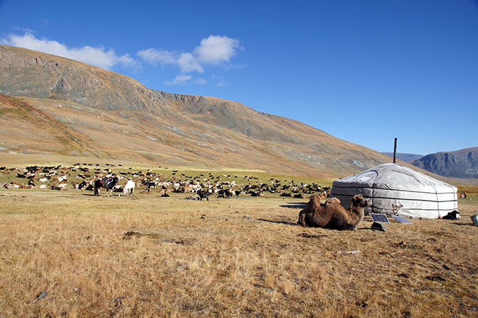 A nomadic Tuvan family's ger with livestock in the foothills of Shiveet Hairhan mountain, 2014