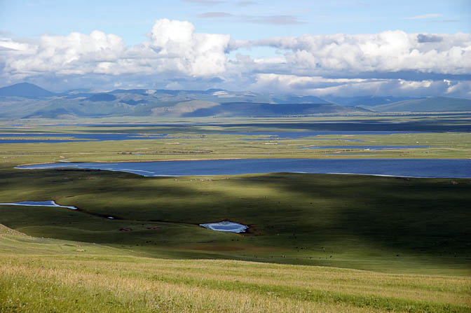 עשב ירוק ואדמה רווית מים ליד אגם תרגן, צפון מונגוליה 2010