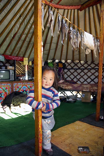 A cute girl inside her family Ger (Mongolian home tent) in Khovsgol Nuur (lake), North Mongolia 2010