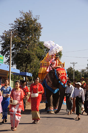 Adorned elephant in The Buddhist Donation Ceremony parade, Popa 2015