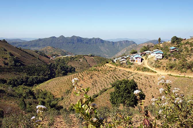 Tar Yaw village surrounded by plantations, Kalaw to Inle Lake trek 2015