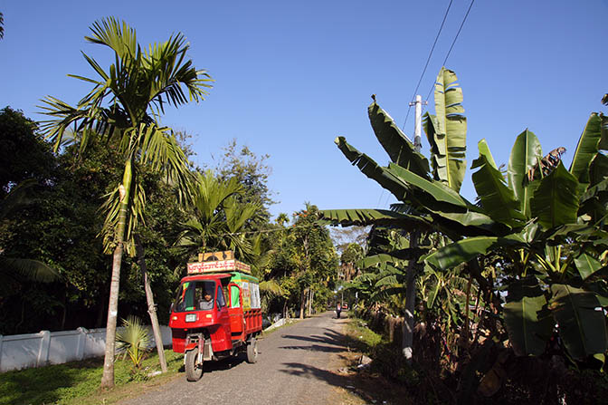 A path in Myitkyina, 2016