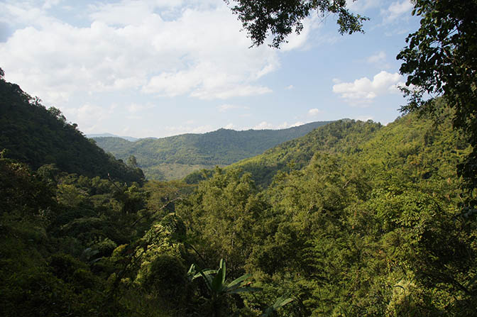 A jungle of reeds, Trek around Hsipaw 2016