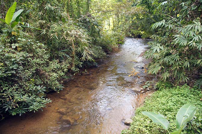 A brook in the jungle, Trek around Hsipaw 2016