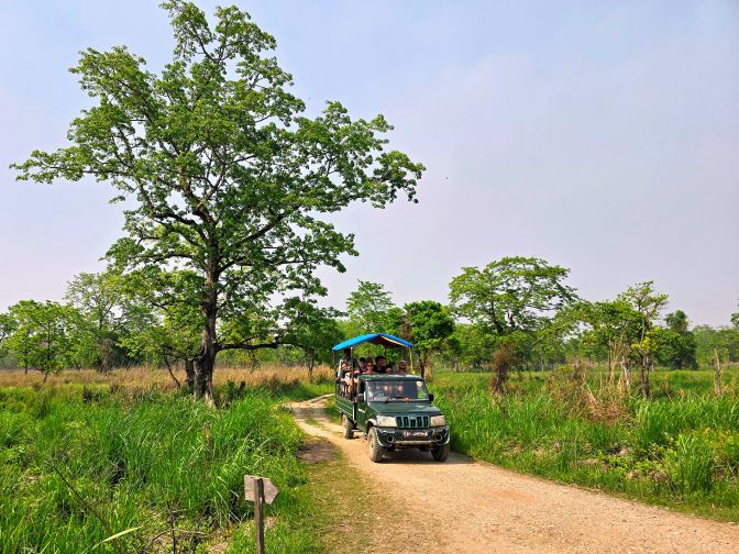 Wildlife viewing on a Jeep safari, 2025