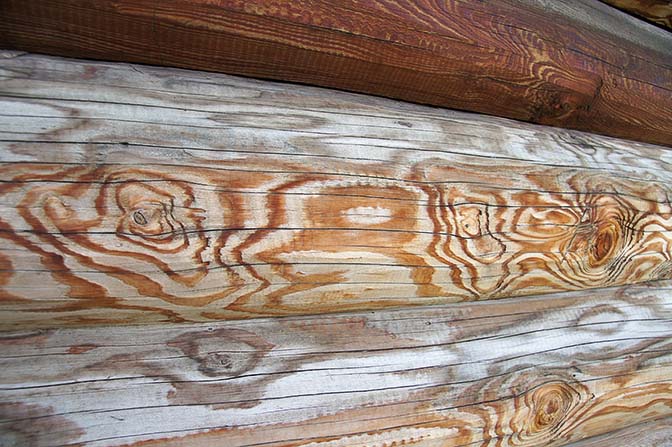 Log structure at the old house of the Altai Museum in Multa village, 2014