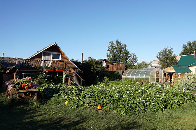 גינת הירקות העשירה ליד הבקתה בכפר קוזירבסק, 2016