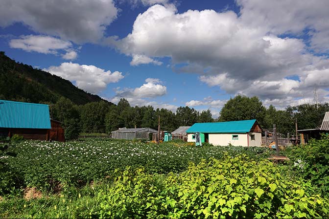 A well-tended vegetable garden, Esso 2016