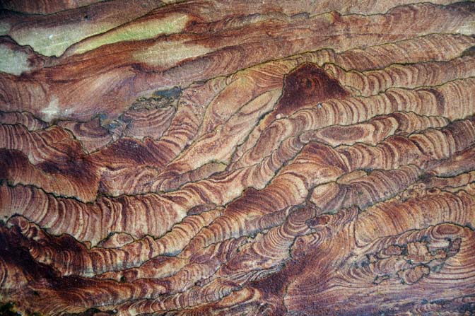 Colorful sandstone in Wadi Ghweir, Jordan 2014