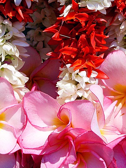 Interlaced colorful flowers in Colombo, Sri Lanka 2002