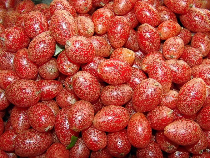 Malawt (Elaeagnus latifolia, Elaeagnaceae) fruit stand on the way to Chiang Mai, Thailand 2007