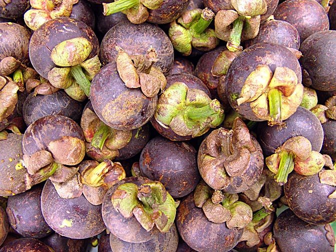 Mangosteen fruits (Garcinia mangostana) on the way to Luang Prabang, Laos 2007