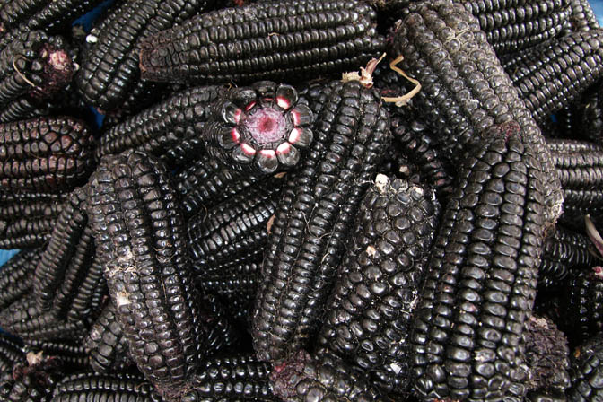 Deep purple corncobs in Huaraz market, Peru 2008