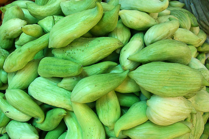 Stuffing cucumbers (Cyclanthera pedata, caigua, caihua) in Huaraz market, Peru 2008