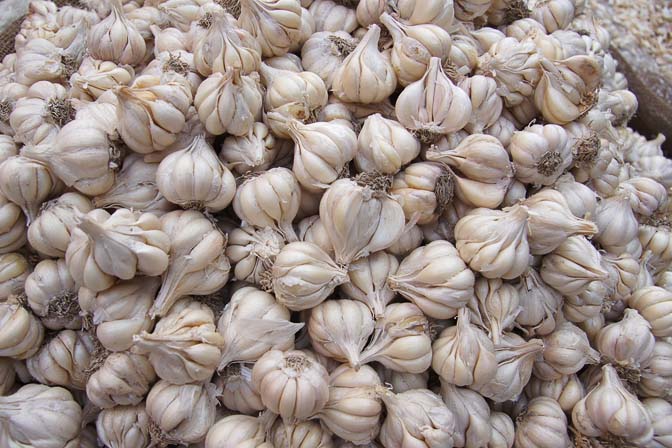 Garlic (Allium sativum) in Paharganj market, Delhi 2011