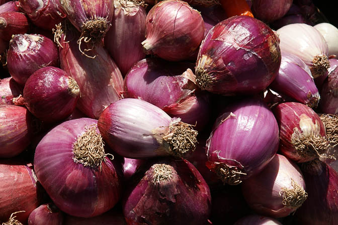 Purple onions (Allium cepa) in Cusco market, Peru 2008