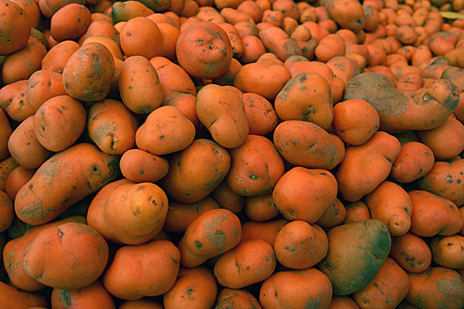 תפוחי אדמה אדומים בשוק בהוארז, פרו 2008