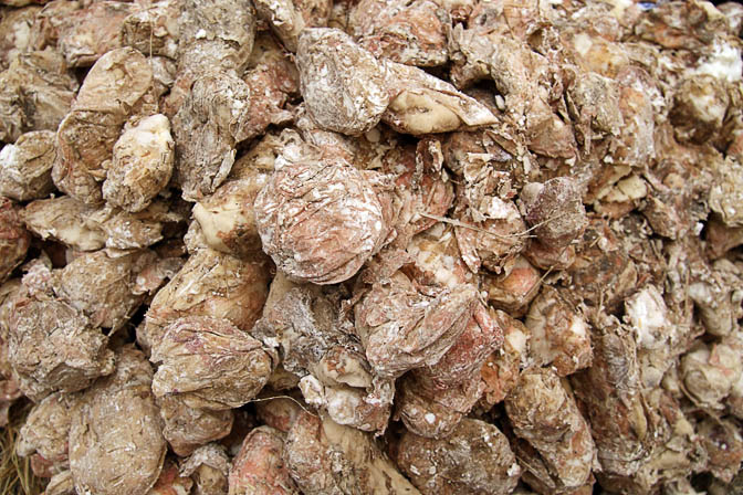 Decomposed potatoes (containing Penicillin) in Huaraz market, Peru 2008