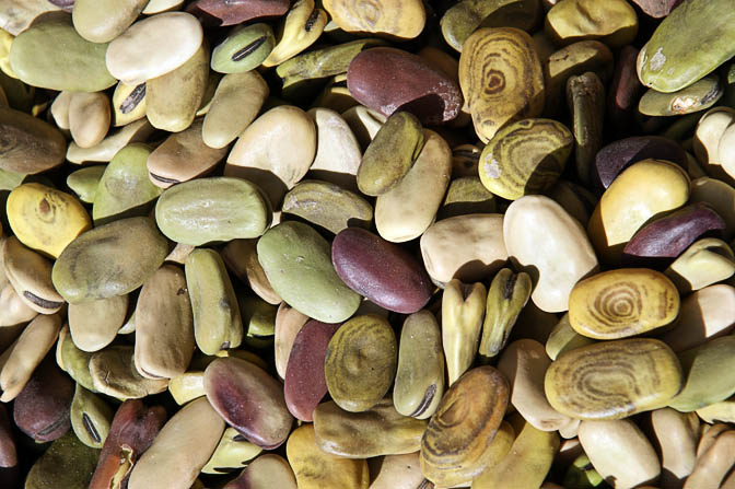 Shelled green broad beans (Vicia faba) in Cusco market, Peru, 2008