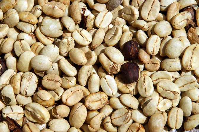 Sun-drying coffee beans in Watabung, Papua New Guinea 2009