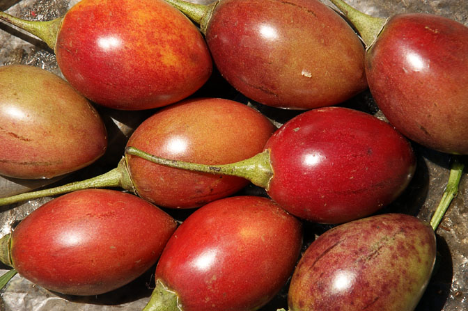 Tree tomatoes (Solanum betaceum, Tamarillo) in Goroka market, Papua New Guinea 2009