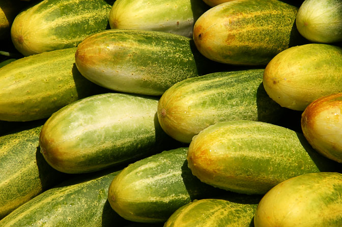 Cucumbers (Cucumis sativus, Kukamba) in Goroka market, Papua New Guinea 2009