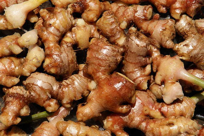 Fresh root ginger (Zingiber officinale, Gorgor) in Goroka market, Papua New Guinea 2009