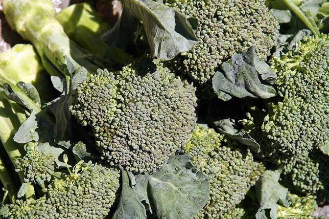 Broccoli (Calabrese cultivar) in Goroka market, Papua New Guinea 2009