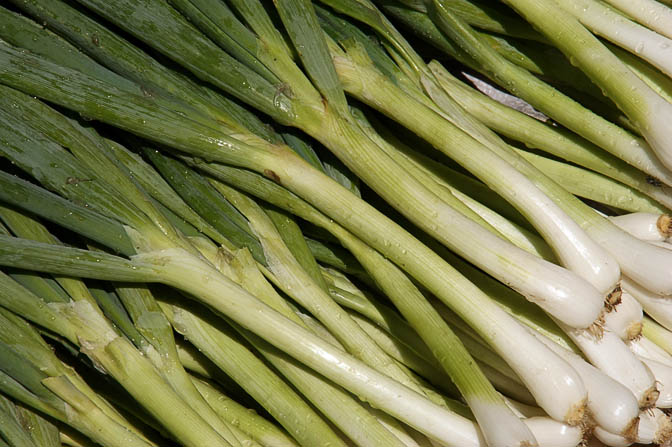 Scallions (Spring Onion) in Goroka market, Papua New Guinea 2009