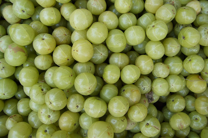 Indian Gooseberry (Phyllanthus emblica, Amla) in Paharganj market in Delhi, India 2011