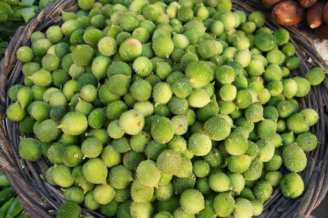 Teasle gourd (Momordica dioica, Kakrol) in Paharganj market in Delhi, India 2011