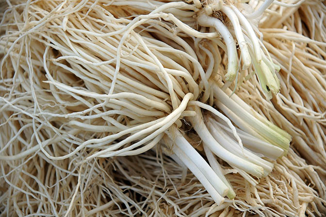 Edible roots in Kalaw market, Myanmar 2015