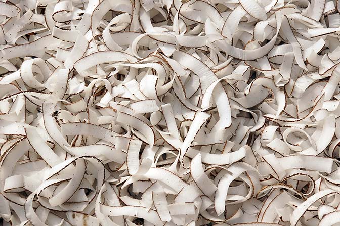 Coconut straps in Mandalay market, Myanmar 2015